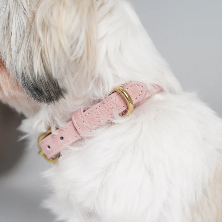 Collier pour chien en cuir Grace | Rose poudré