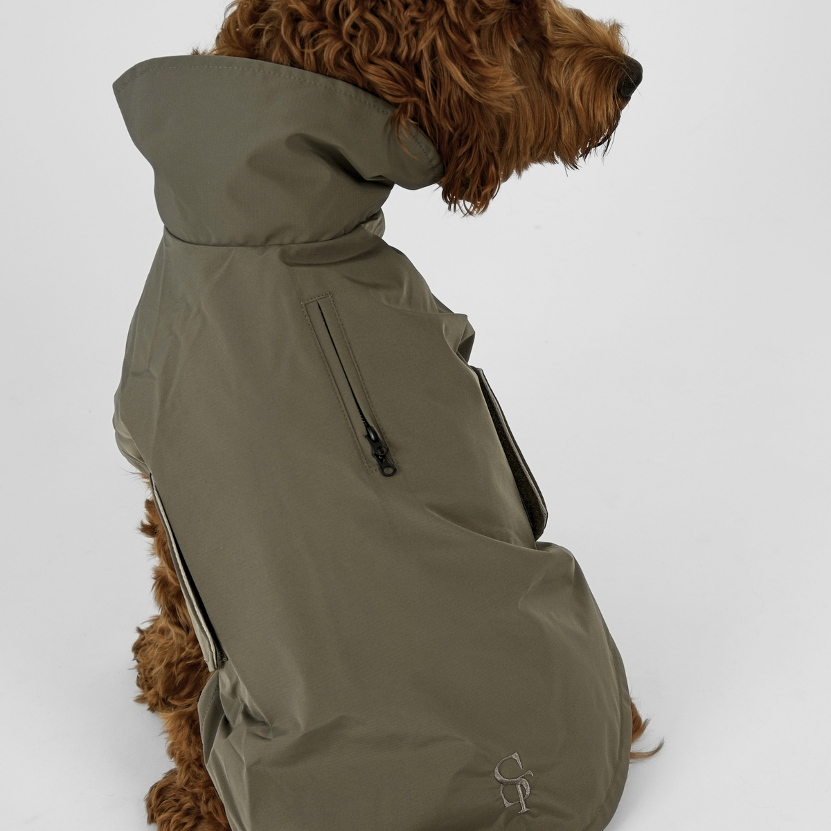 Un cavapoo vu de dos, vêtu de son imperméable Taja moss green