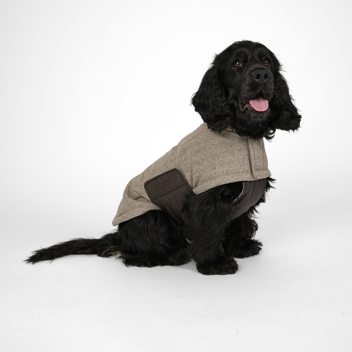 Manteau pour chien Nora | Herringbone Mocca