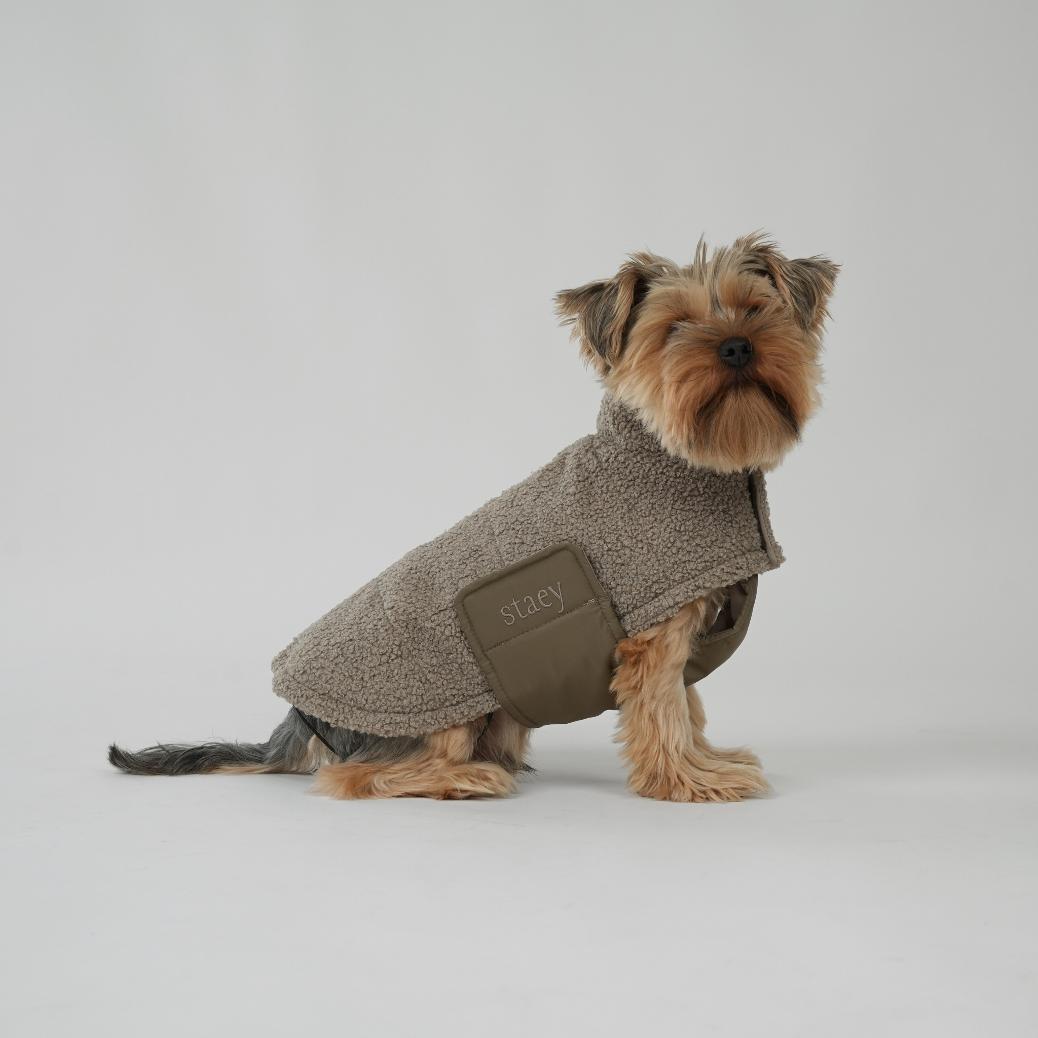 manteau pour chien en peluche