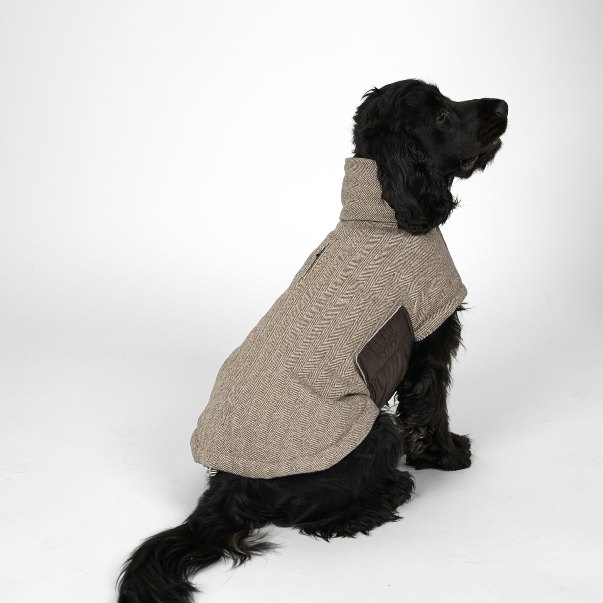 Manteau pour chien Nora | Herringbone Mocca