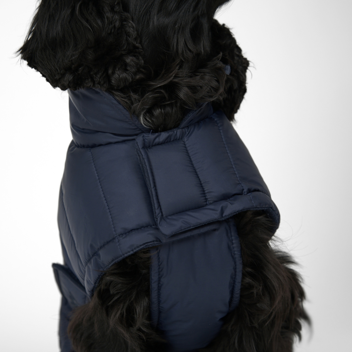 Manteau pour chien Nora | Midnight