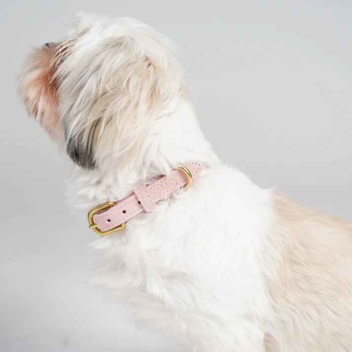 Collier pour chien en cuir Grace | Rose poudré