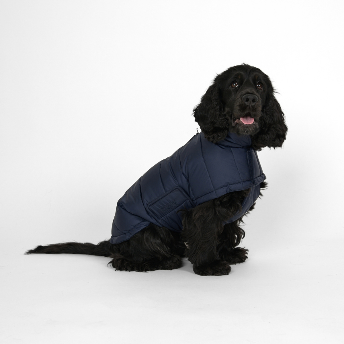 Nora Dog Coat | Midnight