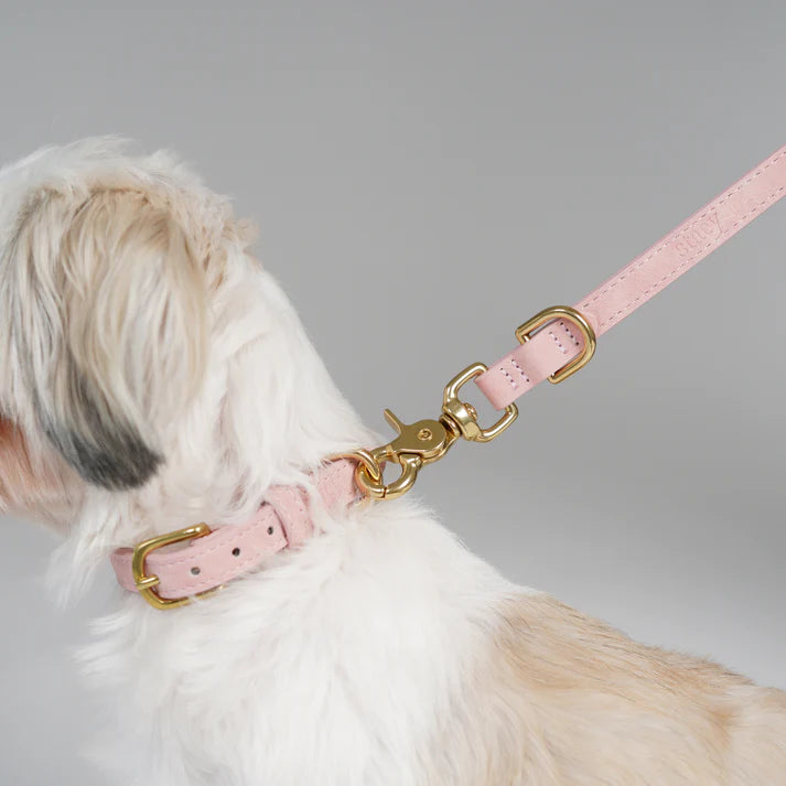 Collier pour chien en cuir Grace | Rose poudré
