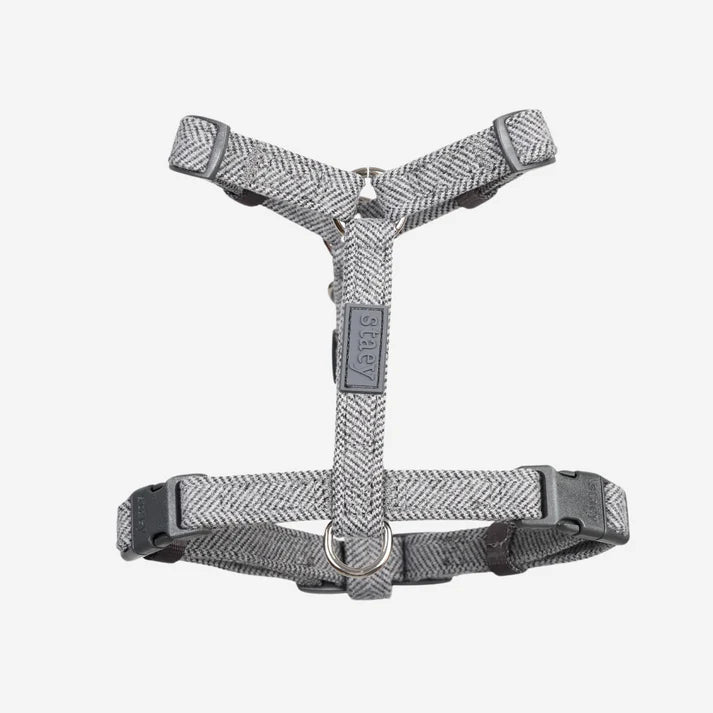 Tara H-Strap Dog Harness | Dusty Blue