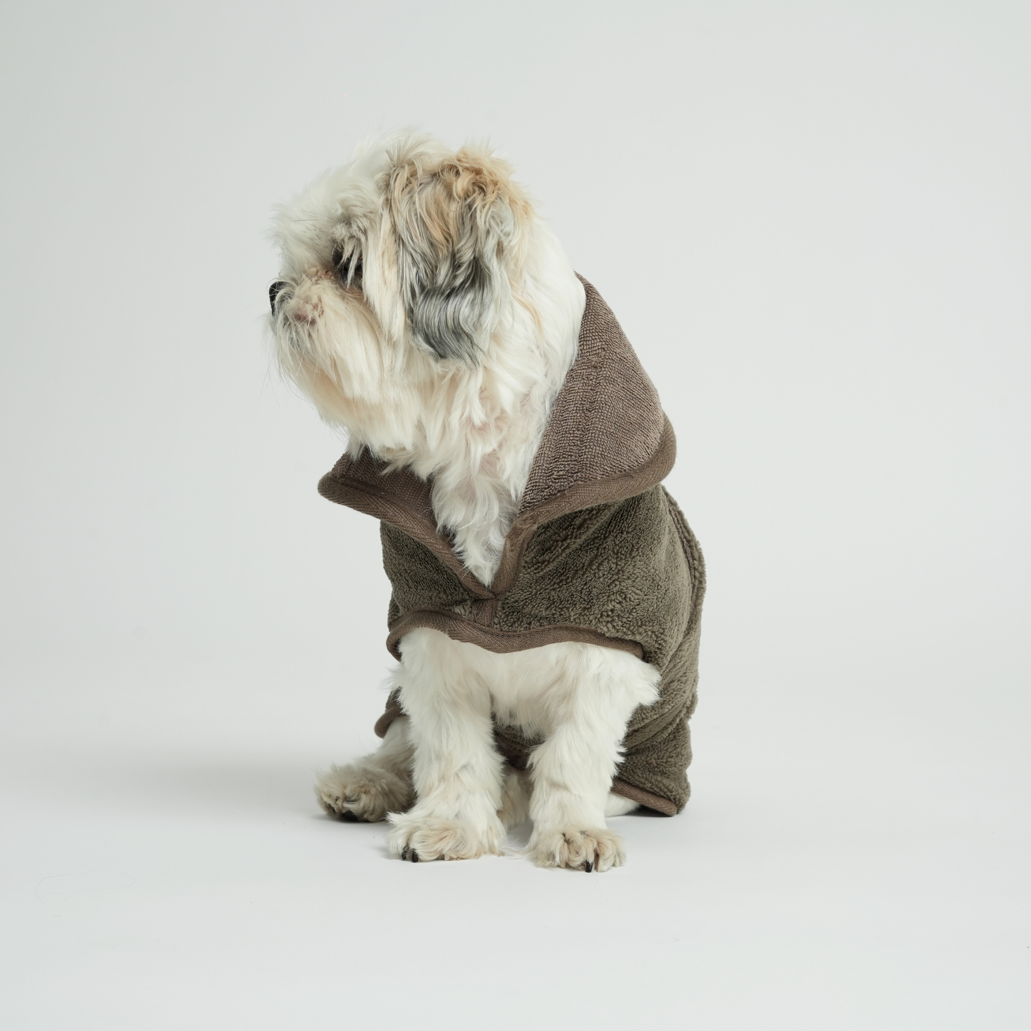 Petit chien vêtu d'un peignoir en éponge marron sur fond gris clair