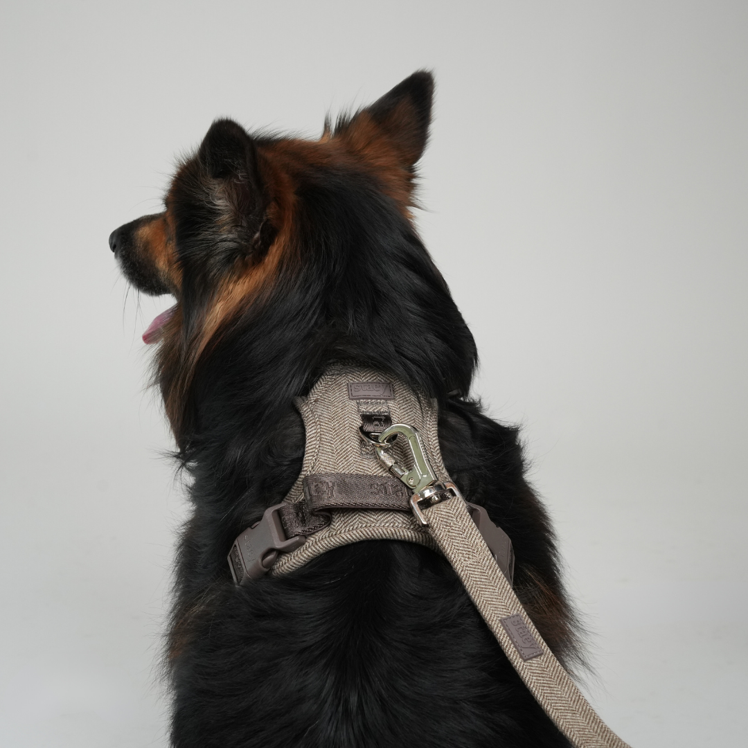 Elma Dog Leash | Mocca