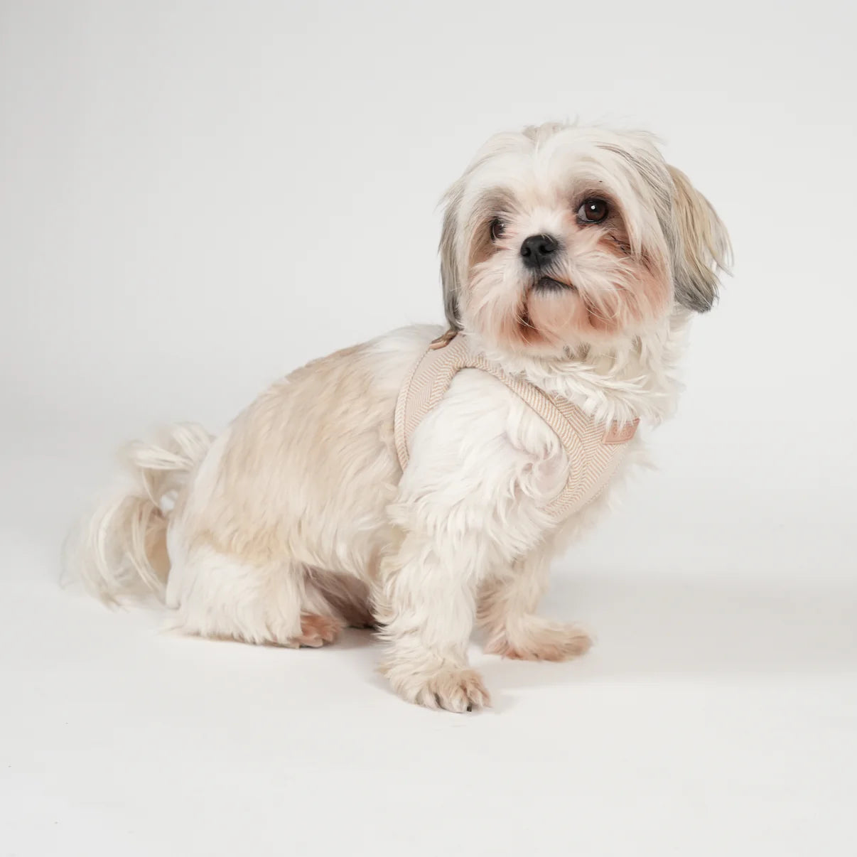 Saga Step-In Dog Harness | Light Rose