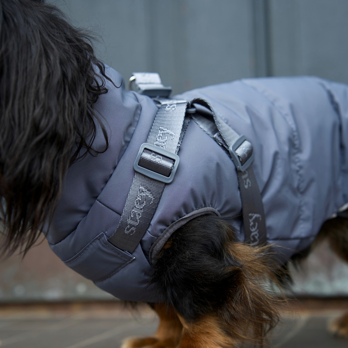 Vera Dog Coat w. Harness | Dusty Blue
