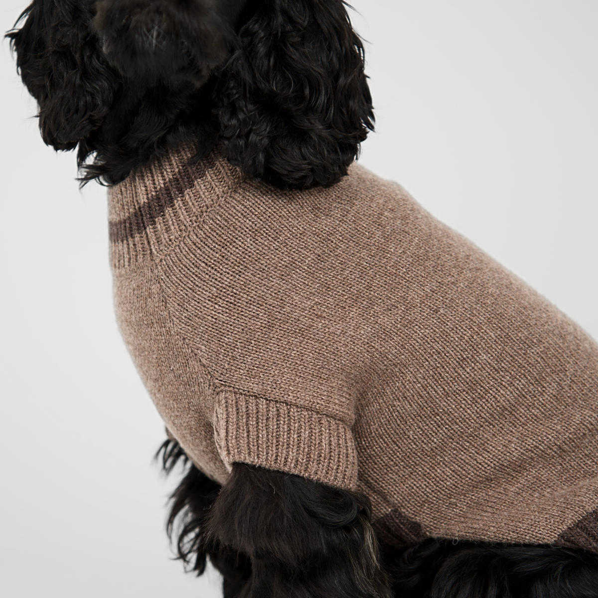 Pull pour chien Ellen | Taupe/Espresso