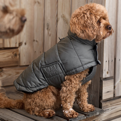 Nora Dog Coat