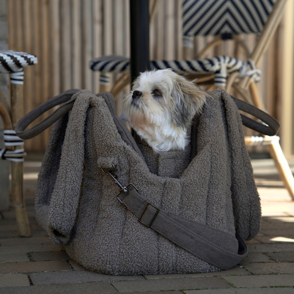Ella Carrier Bag | Teddy