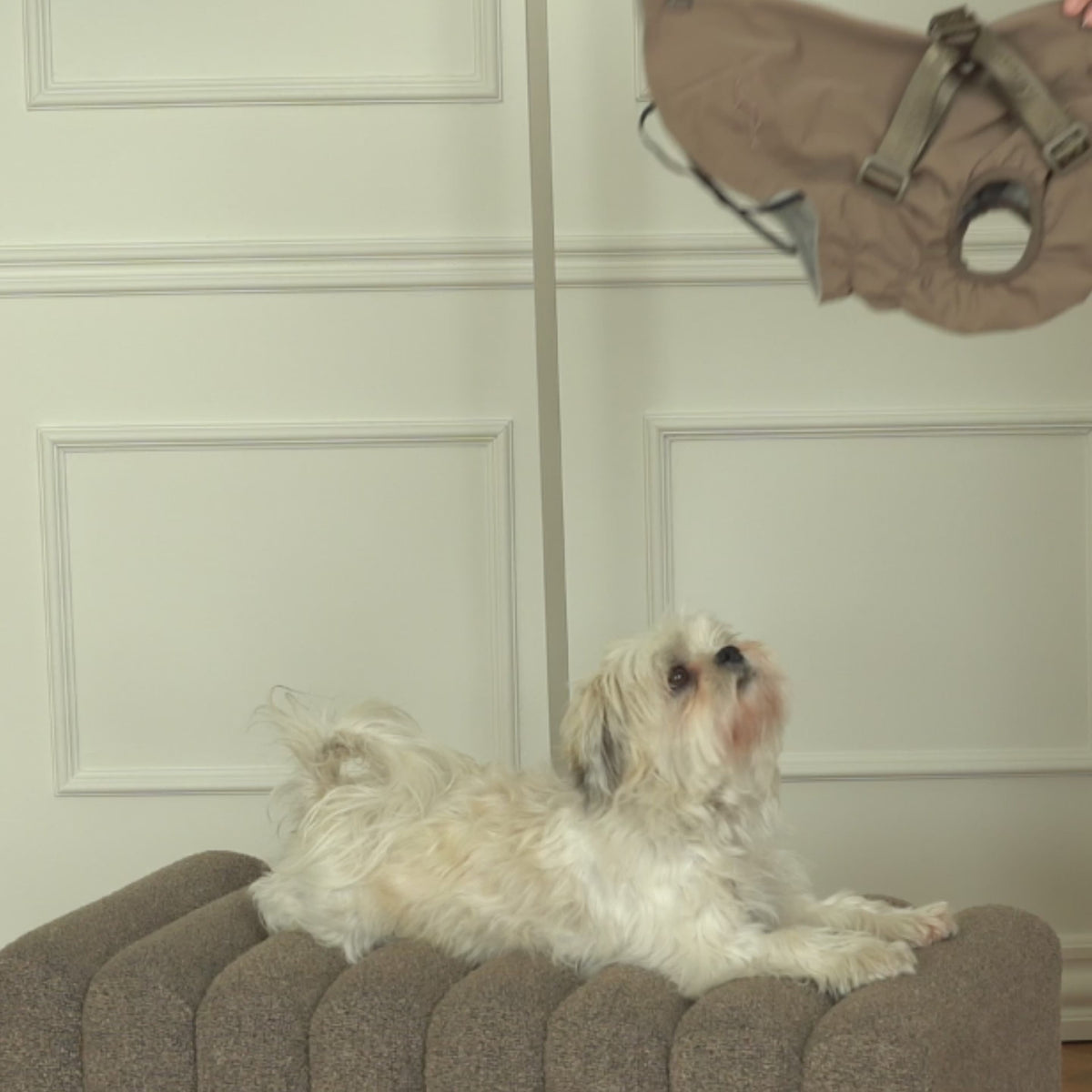 Video showing the Norma dog rain coat with harness in taupe